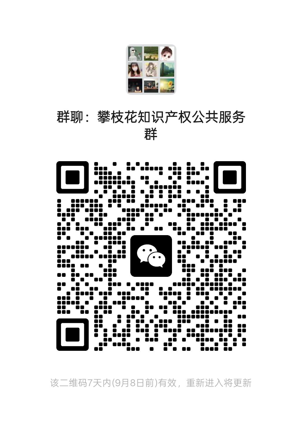 攀枝花知识产权公共服务群