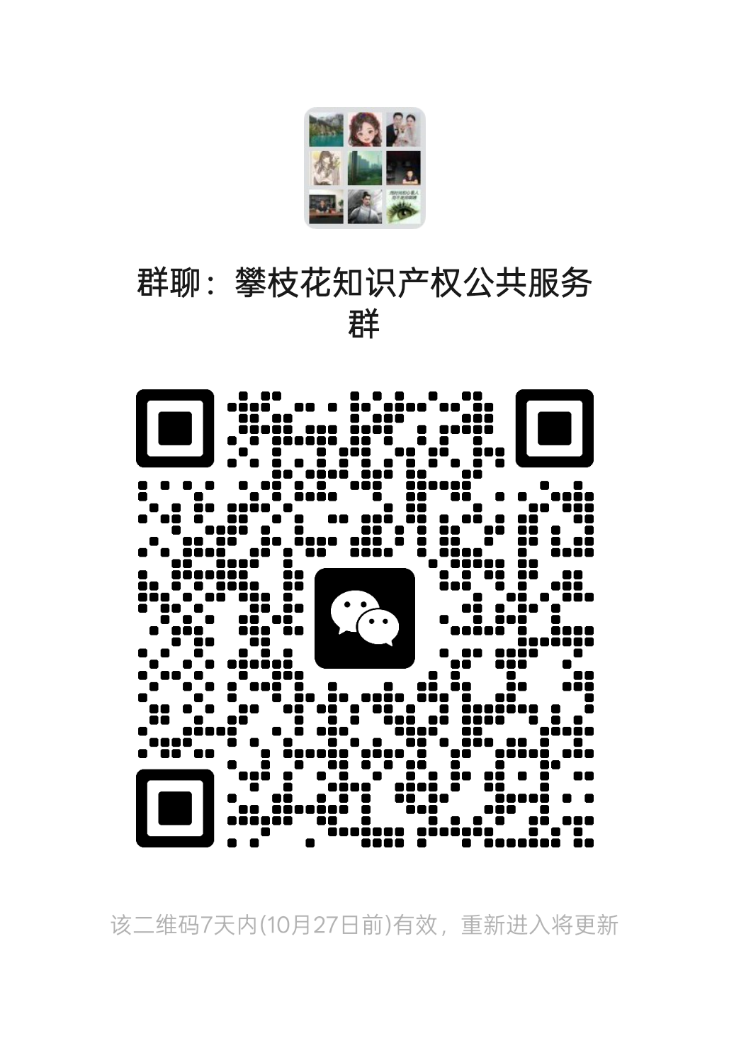 攀枝花知识产权公共服务群