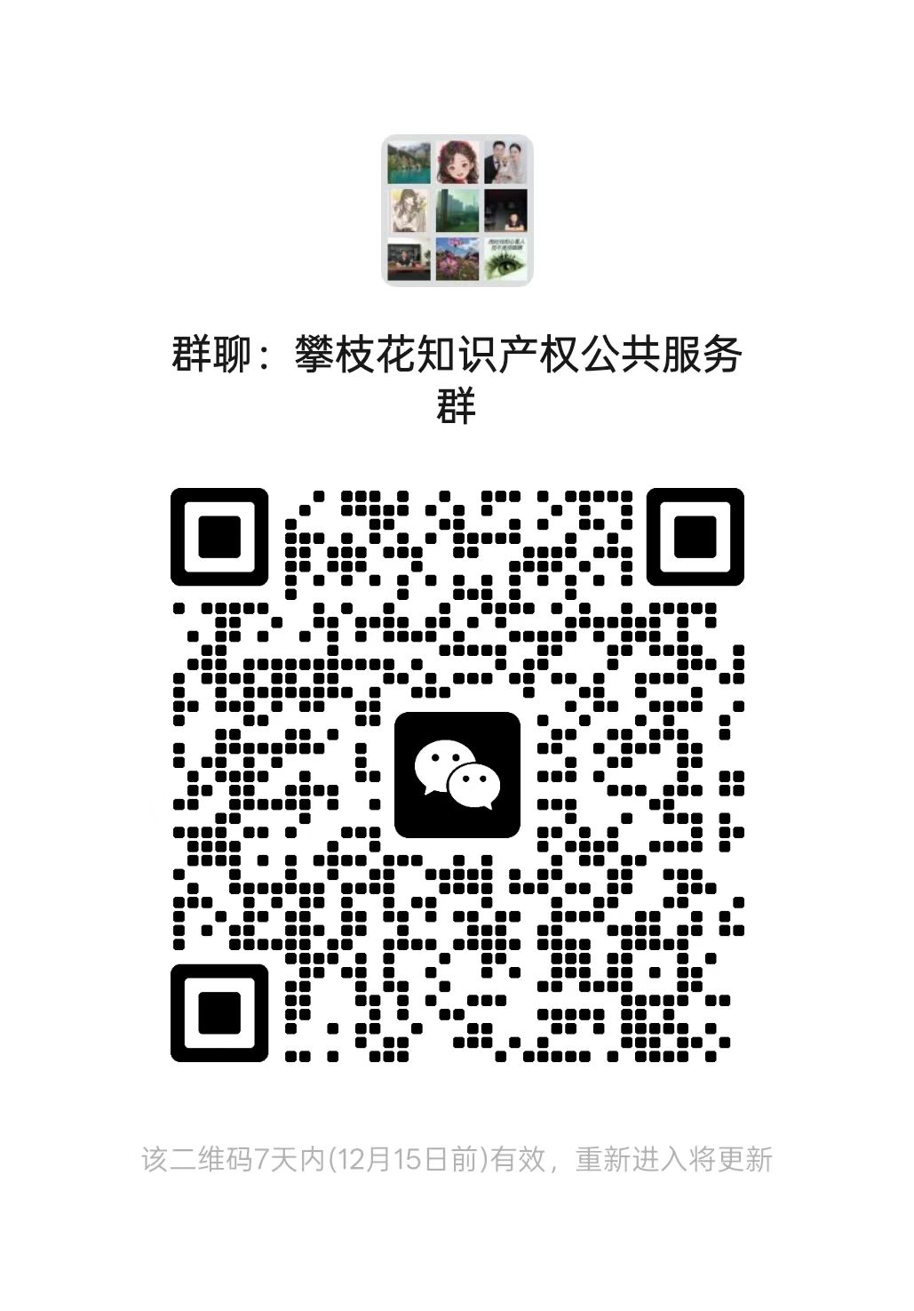 攀枝花知识产权公共服务群