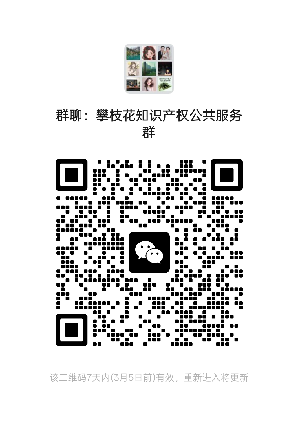 攀枝花知识产权公共服务群