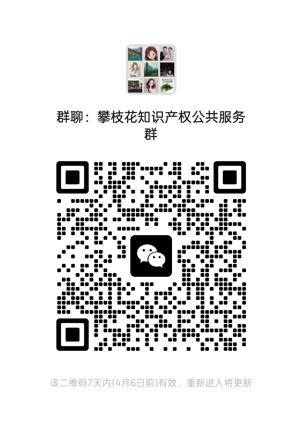 攀枝花知识产权公共服务群